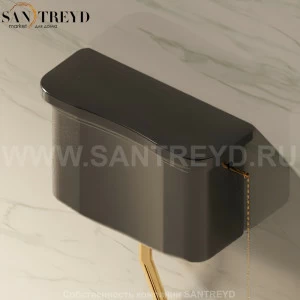 6008.9017 Бачок для унитаза Черный Ceramica Flaminia  Италия