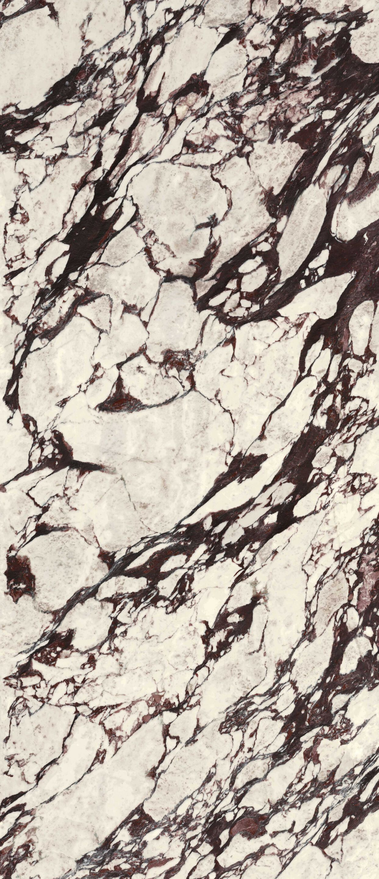 Пол / керамогранит с мраморным эффектом CERAMICA FONDOVALLE Infinito 2.0 ARCH-00076582 - Вид №1