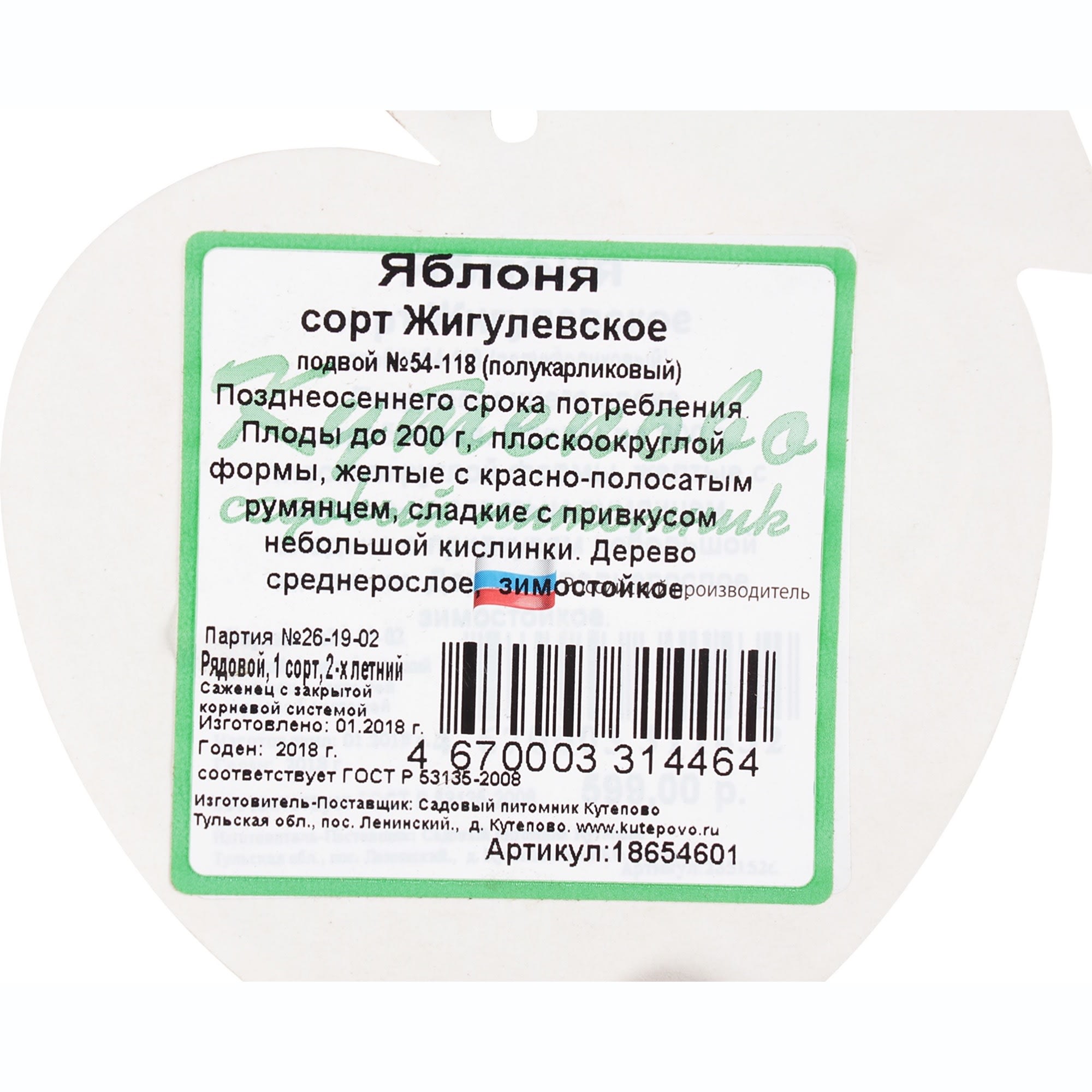 18654601 Яблоня «Жигулёвское» 4 л Santreyd  - Вид №1