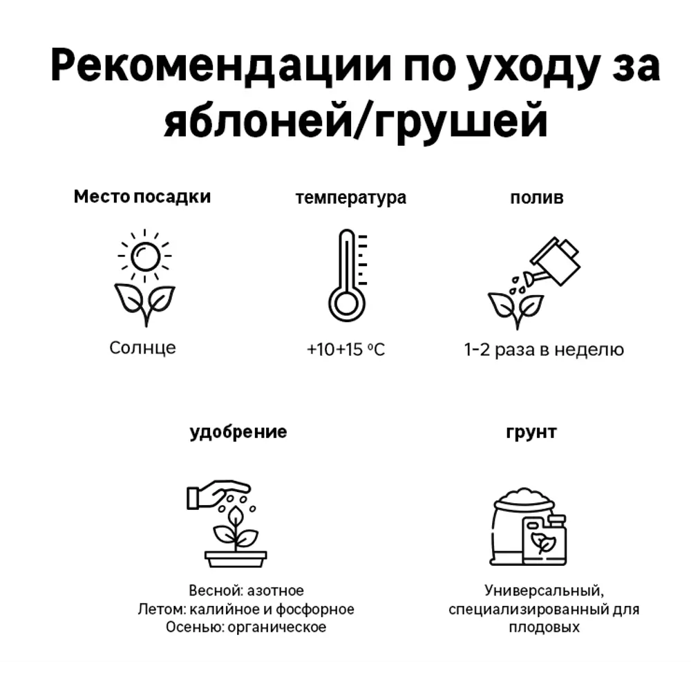 Саженец Яблоня Мелба С4 h120-150 см 83023351 STLM-2184176 Santreyd  - Вид №2