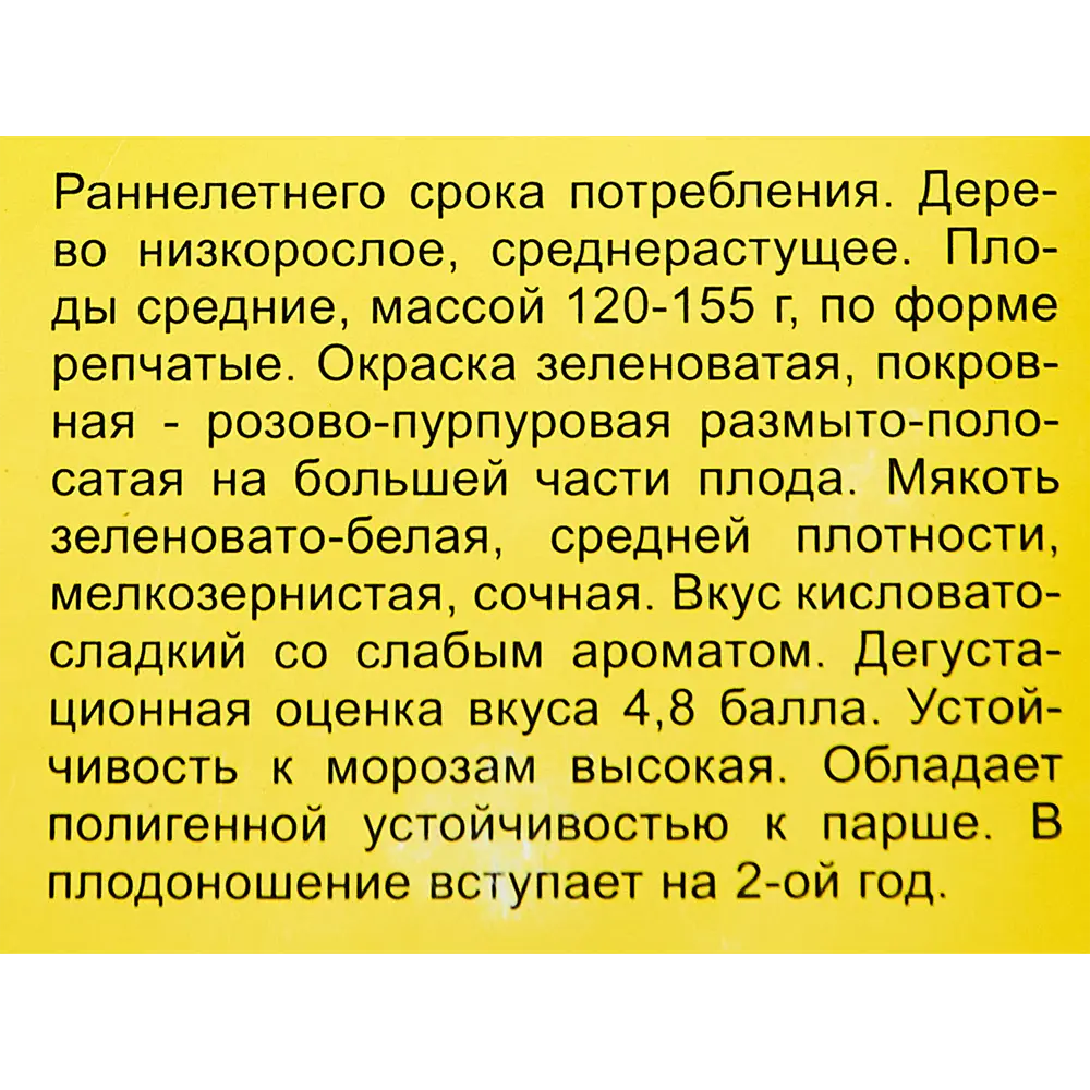 Яблоня Елена пакет h50 см 89353419 STLM-2046919 Santreyd  - Вид №3