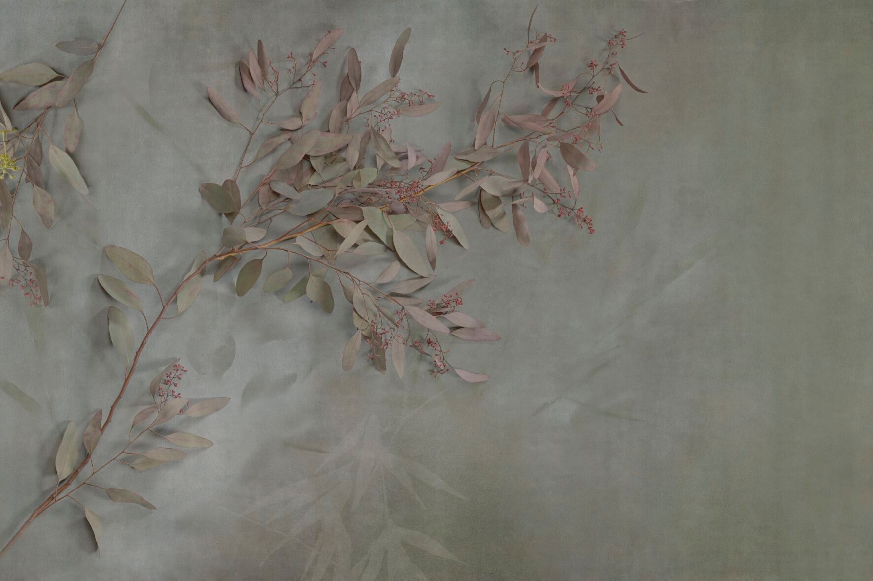 Обои с цветочными мотивами GLAMORA Creative Collection Chapter XIV ARCH-00074998 - Вид №1