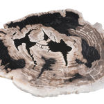 FUBR039 Приставной столик из окаменелого дерева ijlbrown  - Вид №3