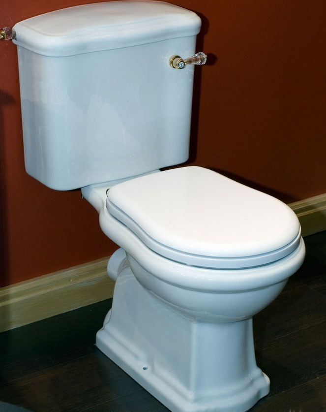 ML.BLL-25.101.BI/ML.BLL-25.148.BI/ML.MEC-29.148.DO Компакт унитаз с бачком Золотистый Migliore  Италия  - Вид №4