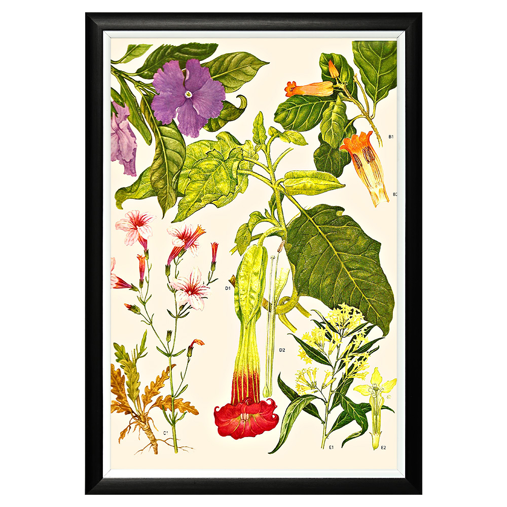 896519665_1818 Арт-постер «Цветочная энциклопедия, глава 29» Object Desire 