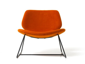 Ткань сани стул