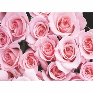 Фотообои бумажные Нежность 280x200 см