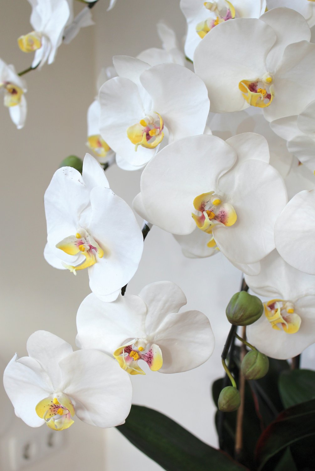 2840 778 a3 Пластиковая орхидея Phalaenopsis, 6-кратная, горшечная, 155 см, real touch, бежево-белая H-andreas  - Вид №1