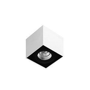 Box 2C OR SQ 1L Ghidini Box C SQ .01 Белый (Матовый) 