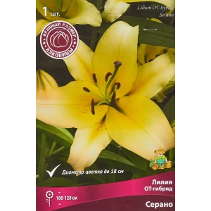 Лилия ОТ-гибрид Серано 1 шт. 83588552 STLM-2119904