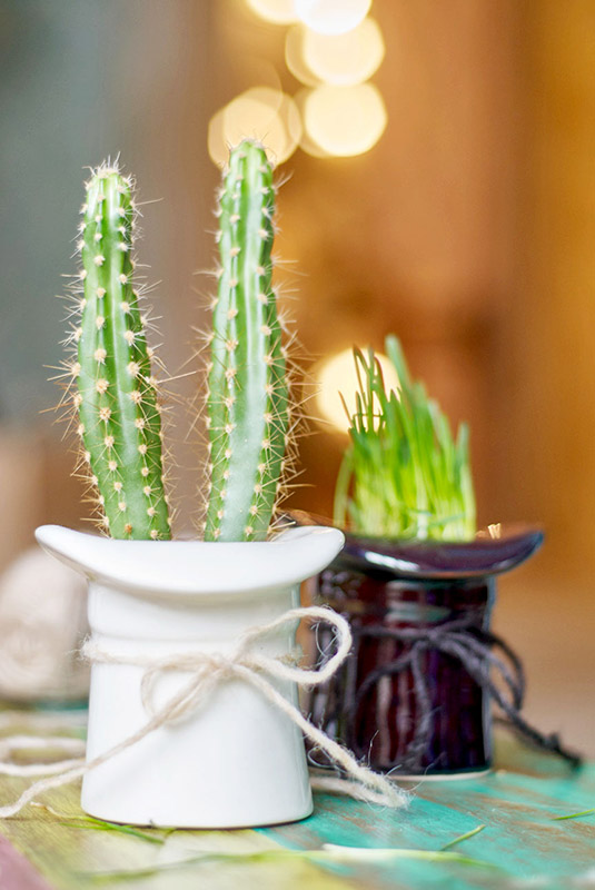 3002 Набор для выращивания eco шляпа Экочеловеки  - Вид №1