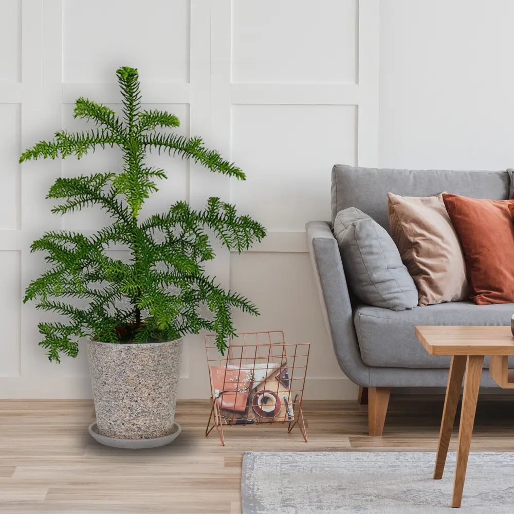 Santreyd Горшок «Лунный камень» для комнатных растений 83406096 STLM-0041004 - Вид №3