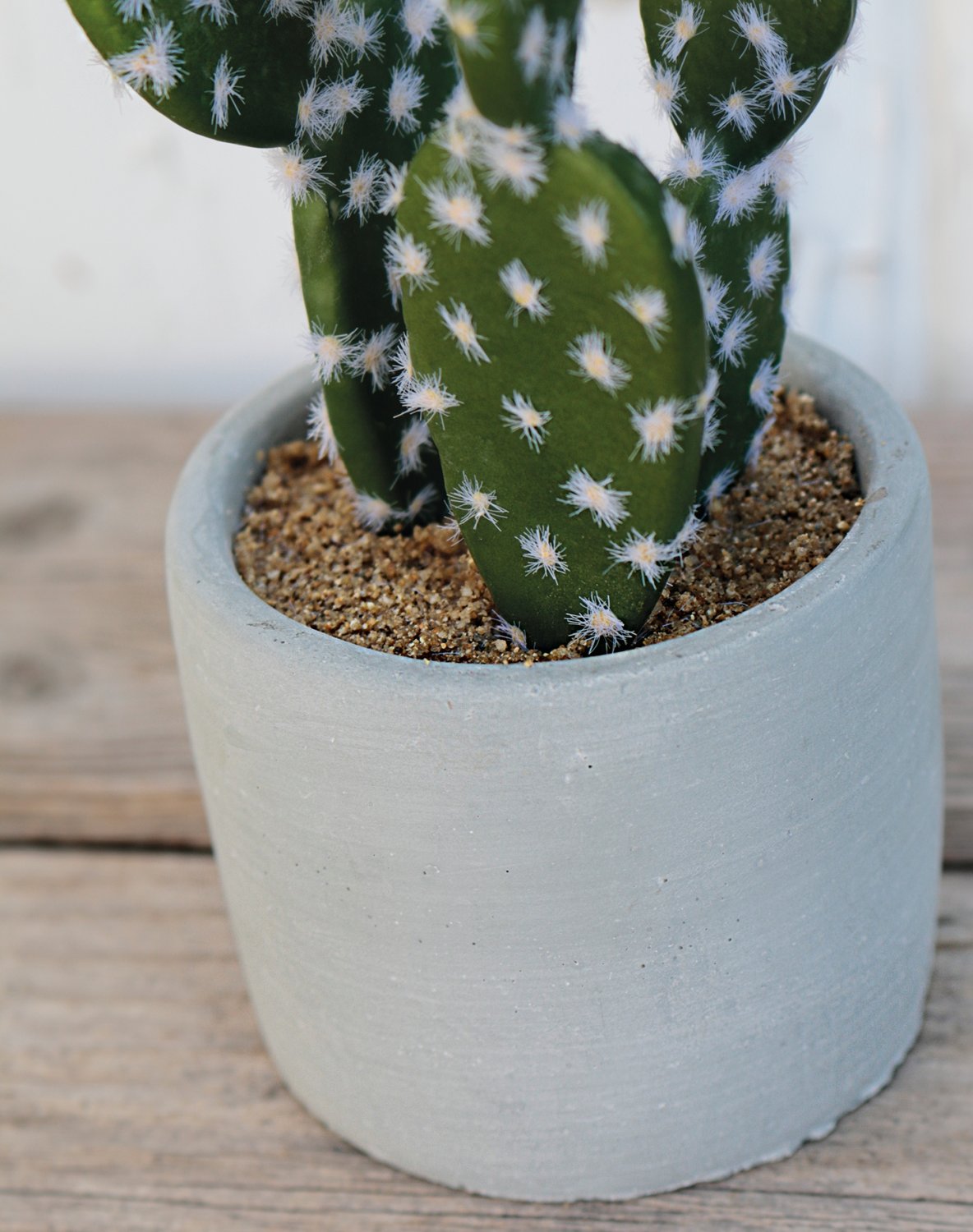 6068 883 a3 Пластиковые суккуленты-микс, в горшках, 3 шт., 10/14/17 см, зеленые H-andreas  - Вид №19