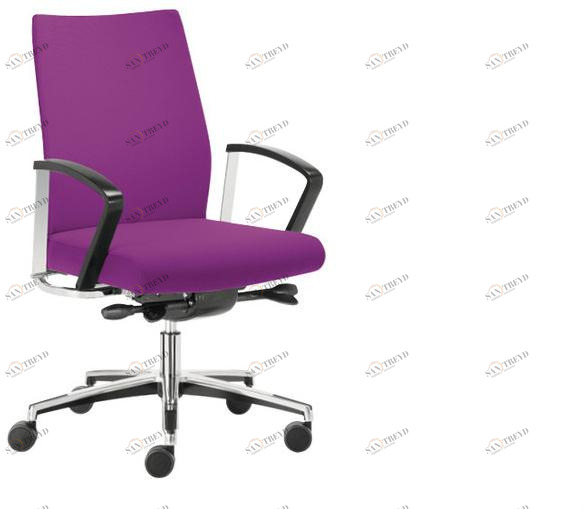 Sesta Эргономичное вращающееся офисное кресло Win Ws-022-02