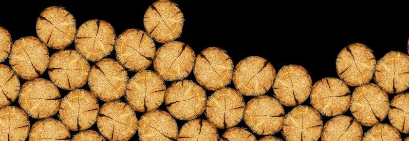 Wall&decò Обои под дерево Contemporary wallpaper 2010 sun-id-1433483 - Вид №3