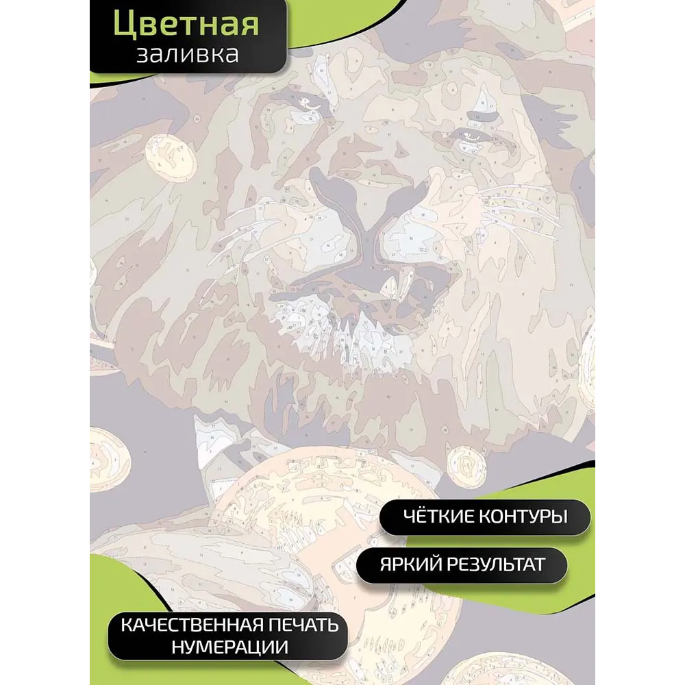 Картина по номерам Fbrush Лев 40x50 см STLM-2004014 - Вид №3