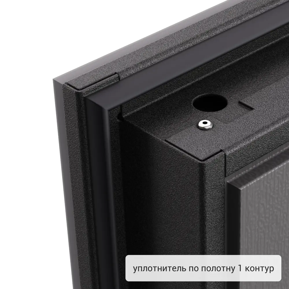 Дверь входная металлическая Хьюго 02 1000 мм правая 82858756 STLM-2009963 TOREX  - Вид №9