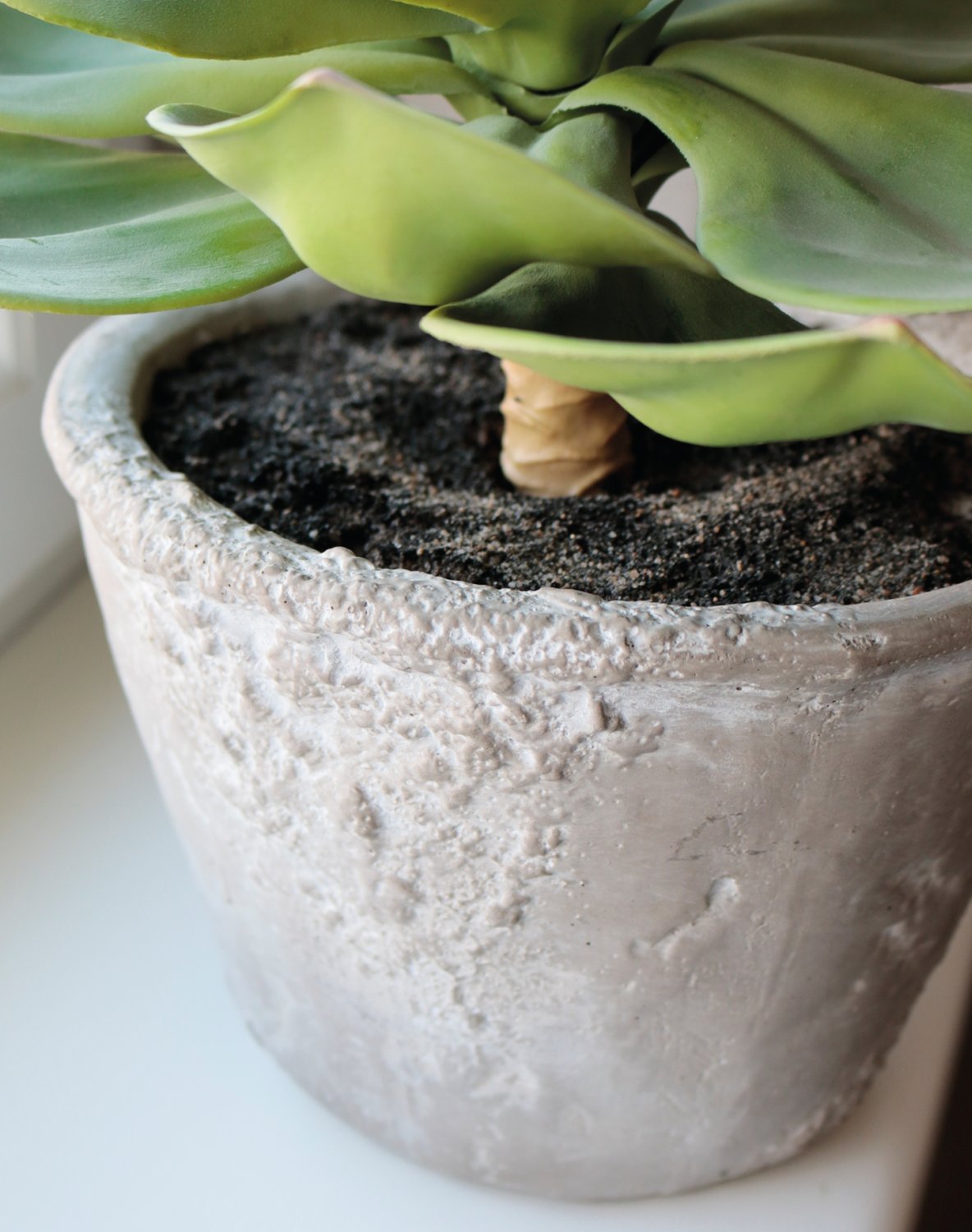 6401 883 a3 Искусственный суккулент, горшок, 33 см, зеленый H-andreas  - Вид №1