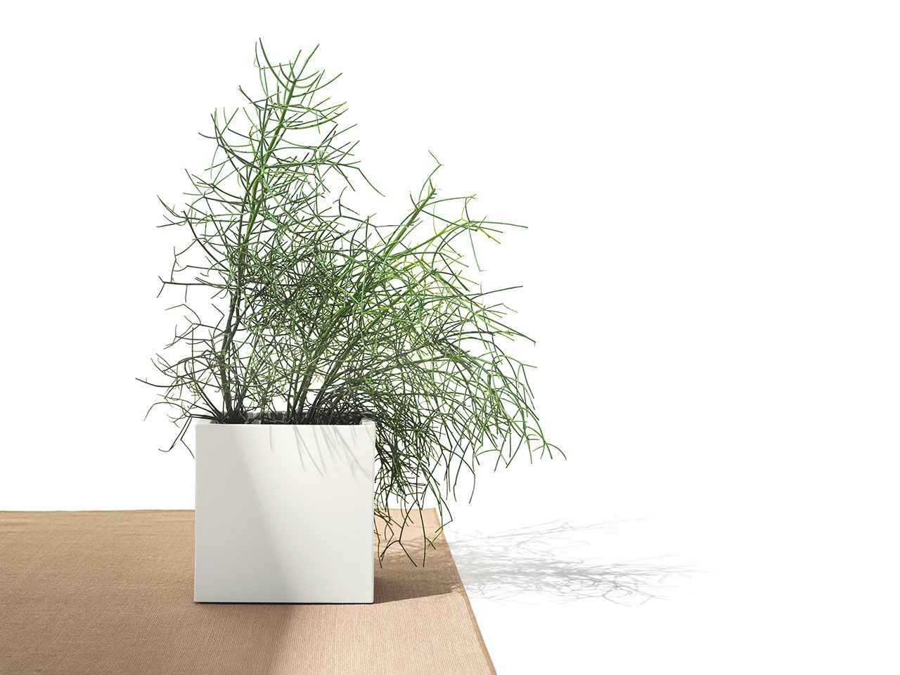 Квадратный полиэтиленовый садовый горшок Lyxo Design LOTO ARCH-00120689