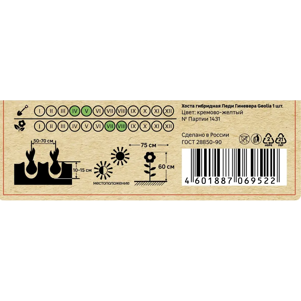 Хоста Geolia гибридная Леди Гиневера 86408588 STLM-2119959  - Вид №4