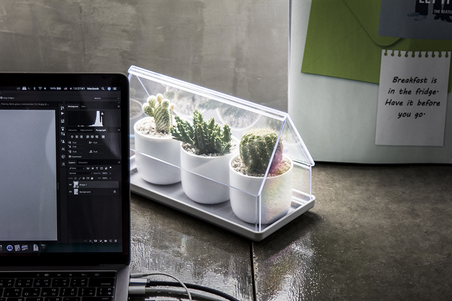 Лоток для выращивания растений Micro Green House прозрачный Qualy QL10310CLGN - Вид №7