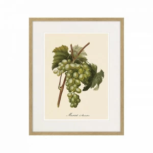 Картина Juicy fruit lithography №13-1, 1870 г., 42х52 см КАРТИНЫ В КВАРТИРУ  264433 Разноцветный