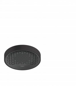 26228670 Rainfinity Верхний душ 250 1jet Hansgrohe