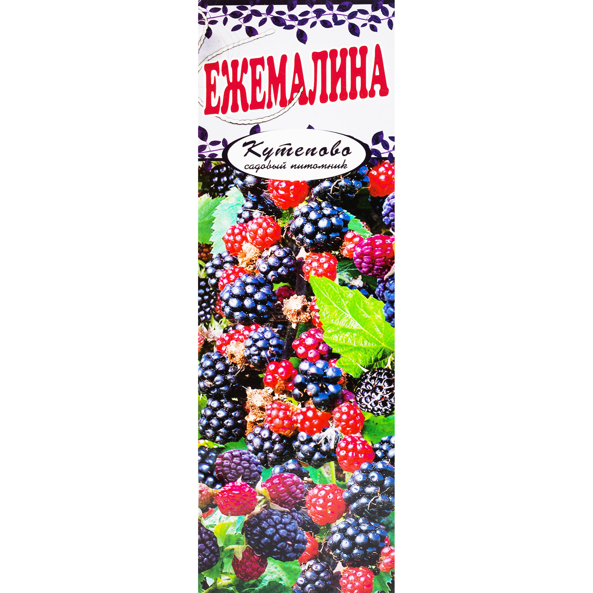 82155344 Ежемалина «Тайберри» в коробке Santreyd 