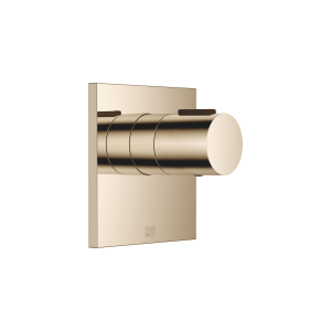 xTOOL Скрытый термостат без регулятора громкости 3/4" - Шампанское (22-каратное золото) 36503780-47