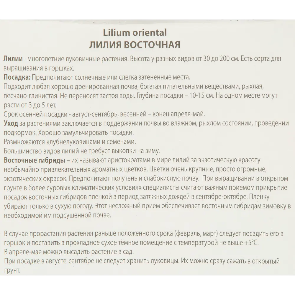 ПОИСК Лилия Фурио - восточная красота для вашего сада 85205766 STLM-1578121 - Вид №2