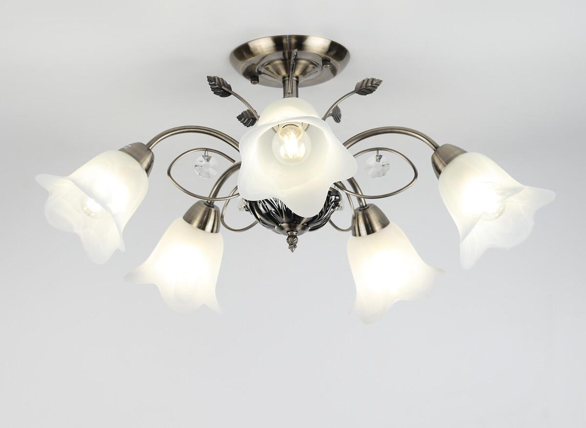 Потолочная люстра Rivoli Giardino 2031-305 RIVOLI GIARDINO 336912 Белый;бронза - Вид №2