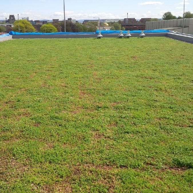 Система крыши сада RENOLIT ALKORPLAN RENOLIT ALKORPLAN Green ARCH-00043728 - Вид №2