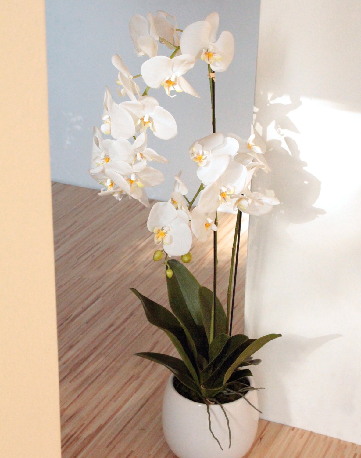 2604 778 a3 Искусственная орхидея Phalaenopsis, 2-х кратная, в керамическом горшке, 100 см, real touch, бежево-белая H-andreas  - Вид №5