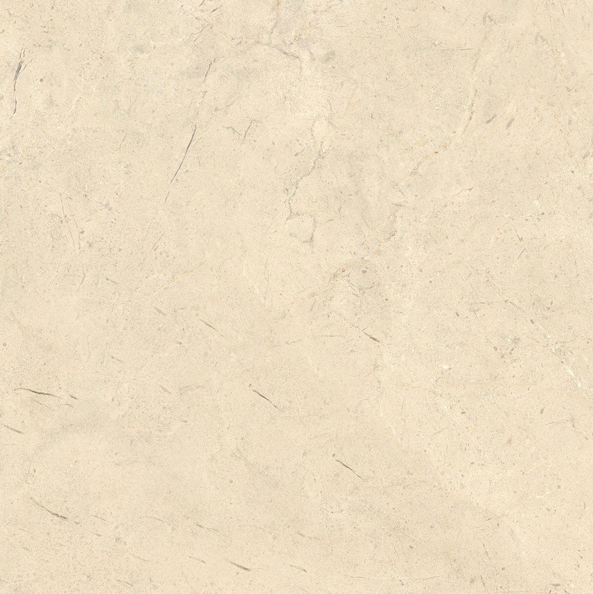 Пол / облицовка керамогранита с эффектом камня Italgraniti Calcis ARCH-00068879 - Вид №39