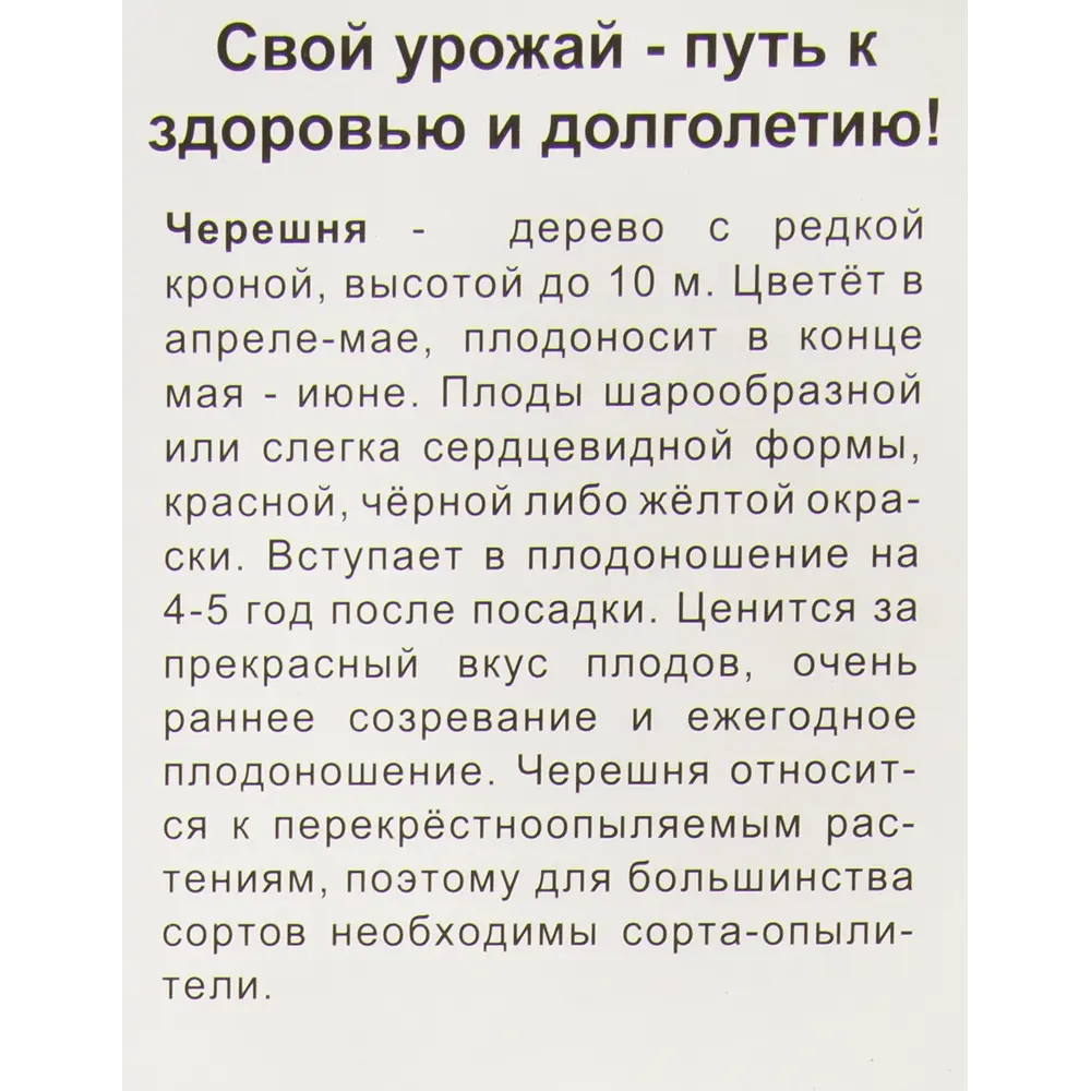 Черешня Тютчевка в тубе Поиск Инвест 82529085 STLM-2040461 Santreyd  - Вид №1