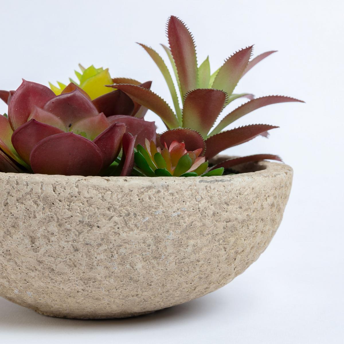 068874 Искусственный суккулент в горшке из цемента La Forma Flower - Вид №1