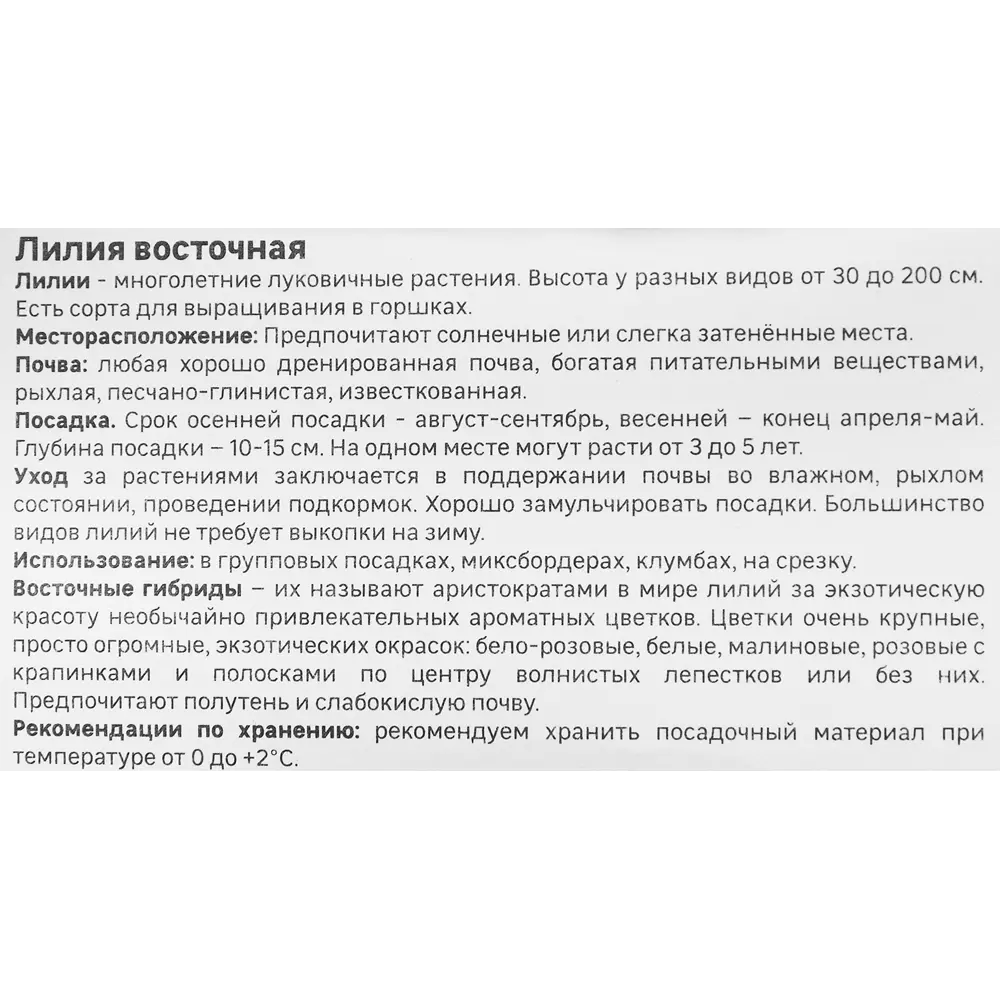 Лилия Geolia восточная Авиньер 86408623 STLM-2069503  - Вид №3