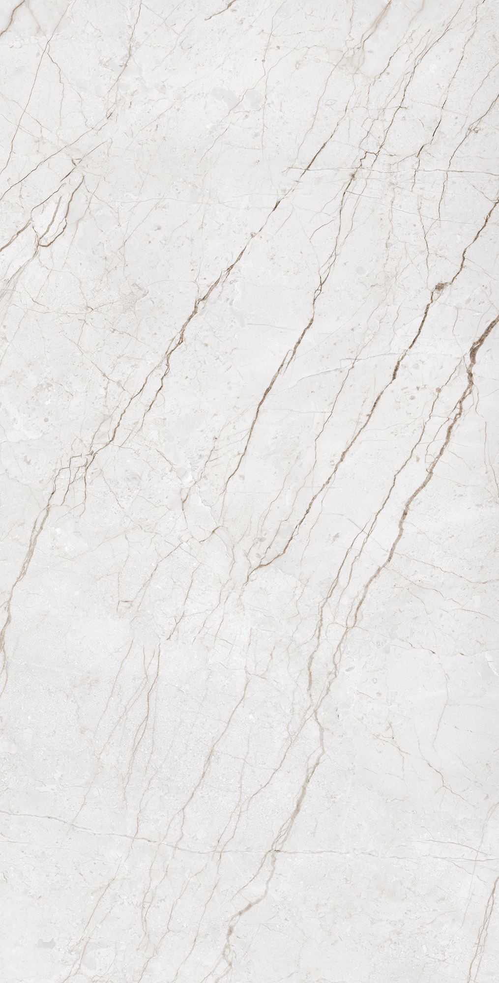 METERIA SILVER: Элегантность в каждом сантиметре CR4014-A Arcadia Ceramica - Вид №5