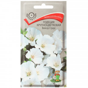 17229611 Годеция крупноцветковая «Вейсер Страус»