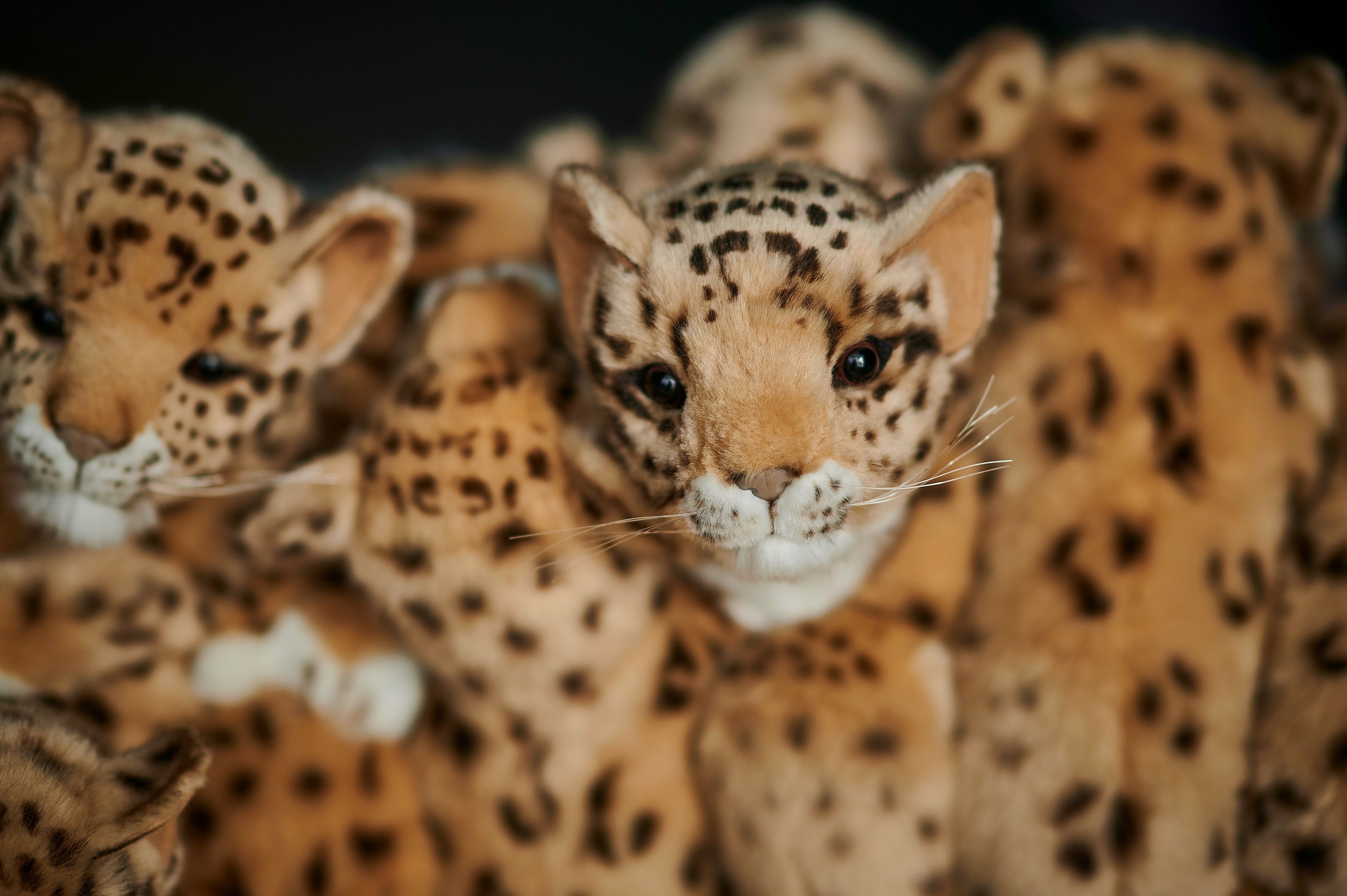 Полиэстер круглый пуф APCOLLECTION Leo ARCH-00038377 - Вид №13