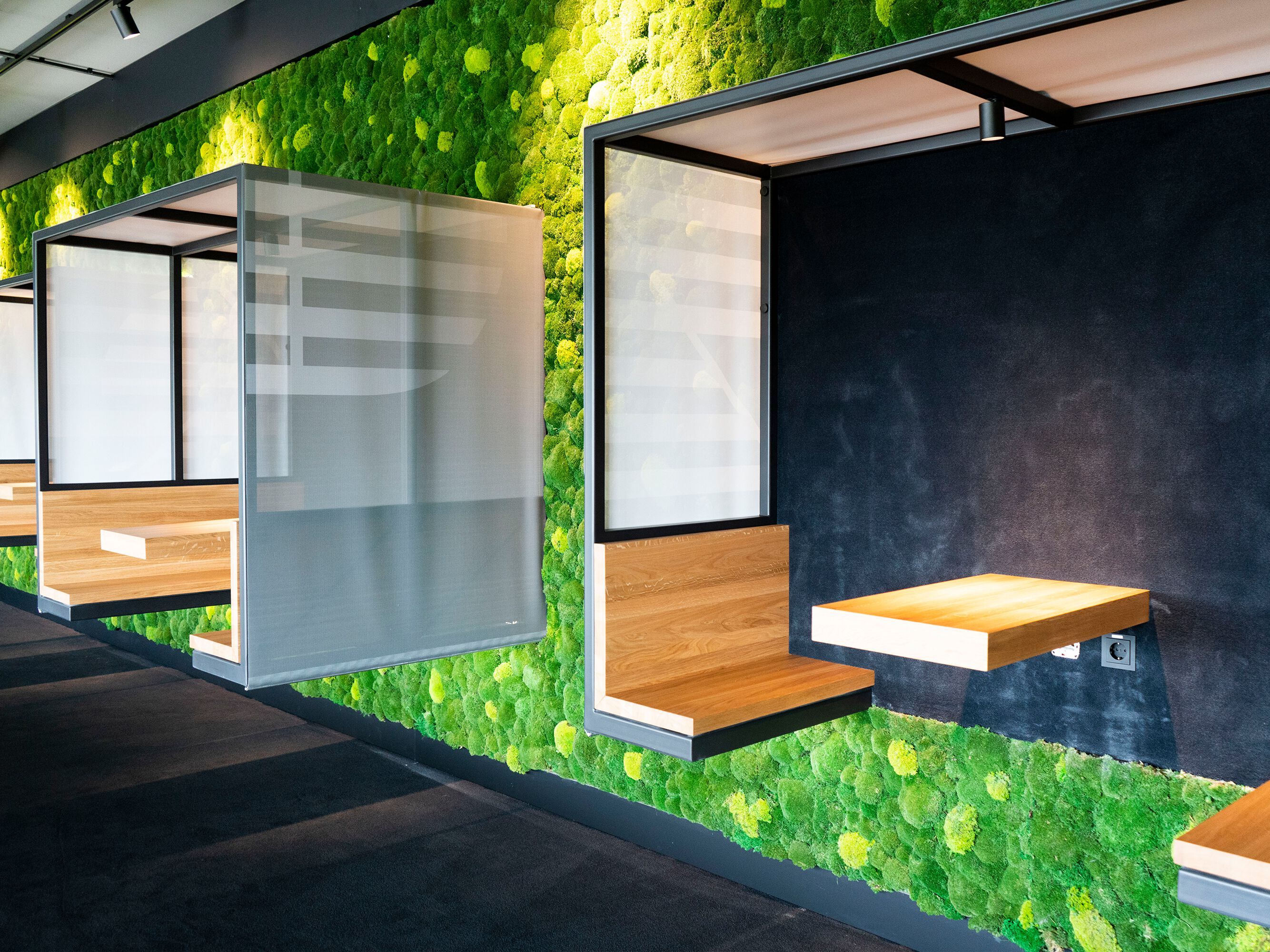 Растительная стена из мха Freund GmbH ARCH-00023492 - Вид №7