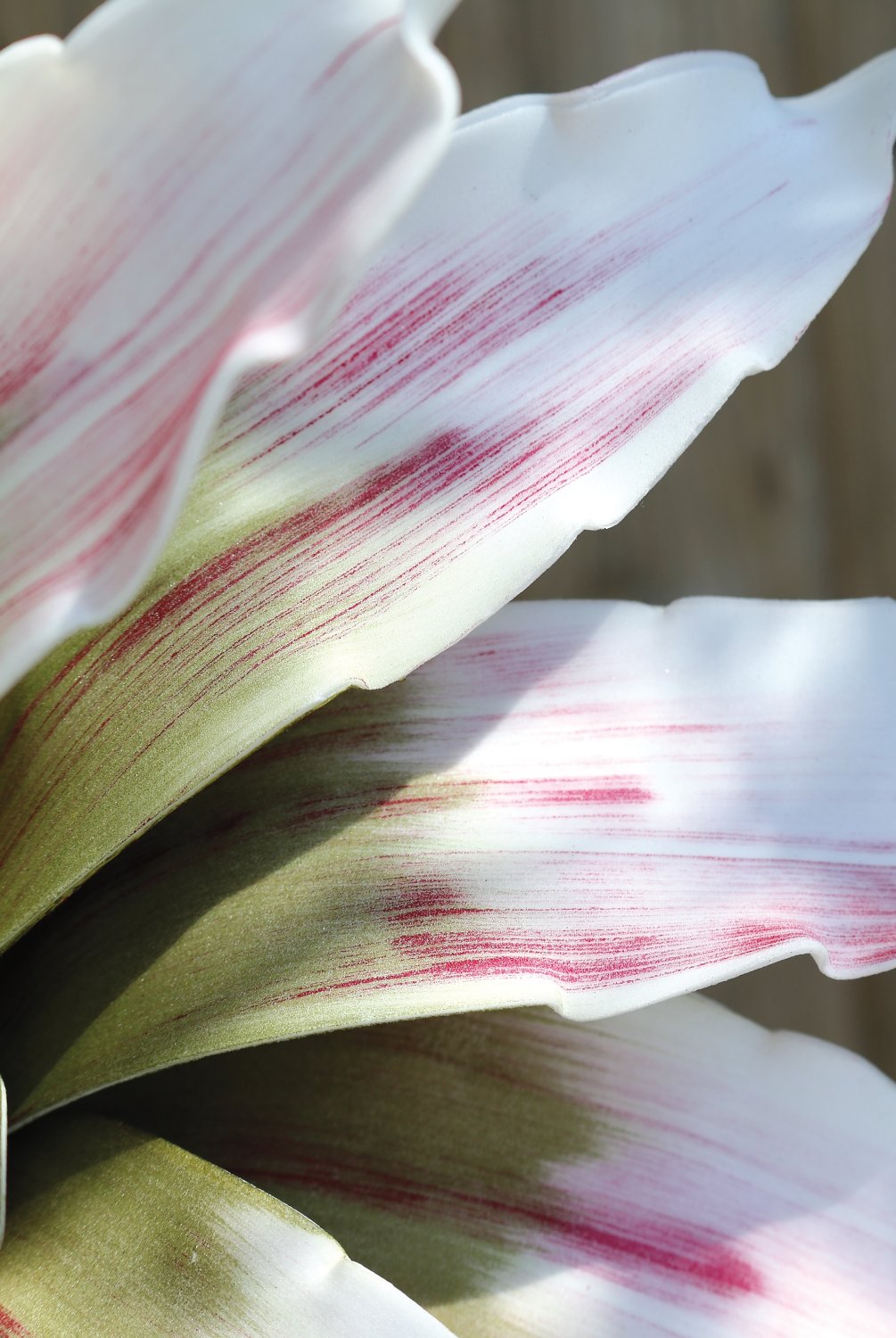 Искусственный мягкий цветок агавы, 90 см, розово-зеленый Santreyd 7955 508 a3 - Вид №2