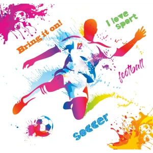 Фотообои Чемпионат мира 210x200 см