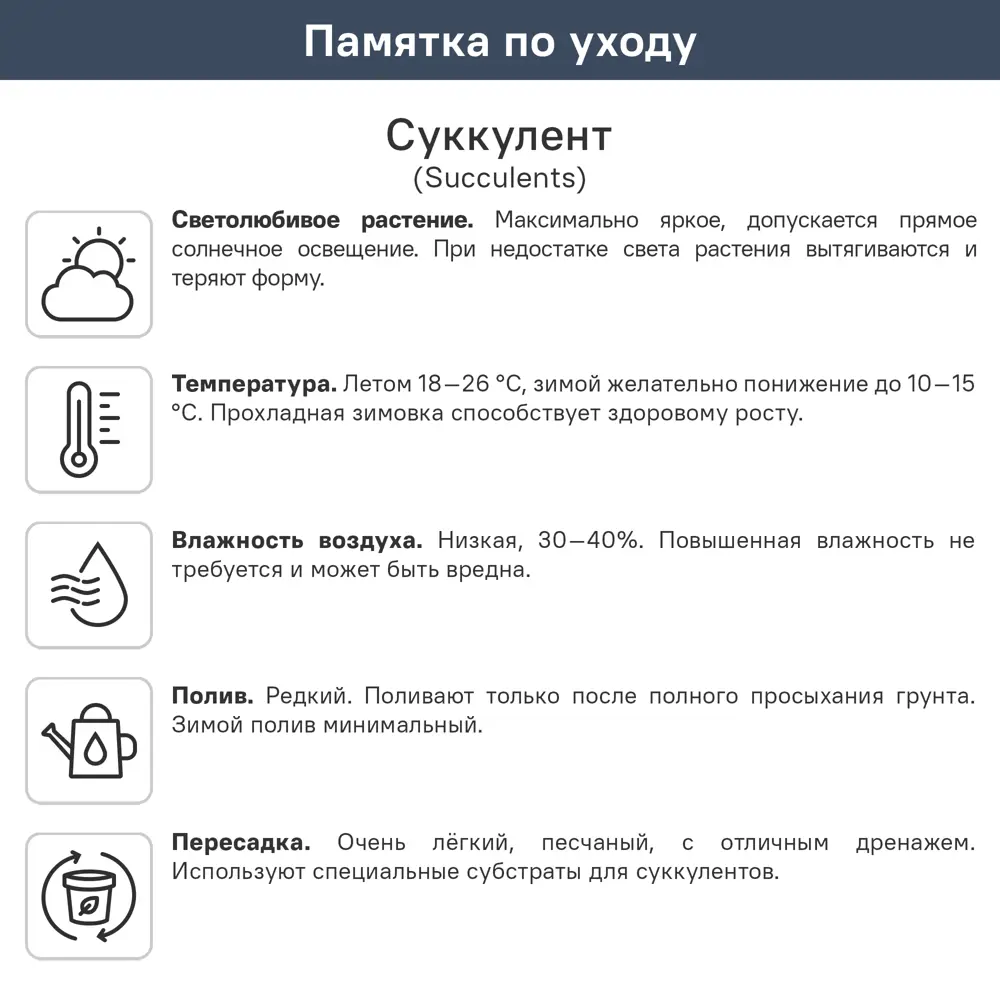 Cуккулент микс ø5 h10 см 89402627 STLM-2112940 ГОРКУНОВ  - Вид №2