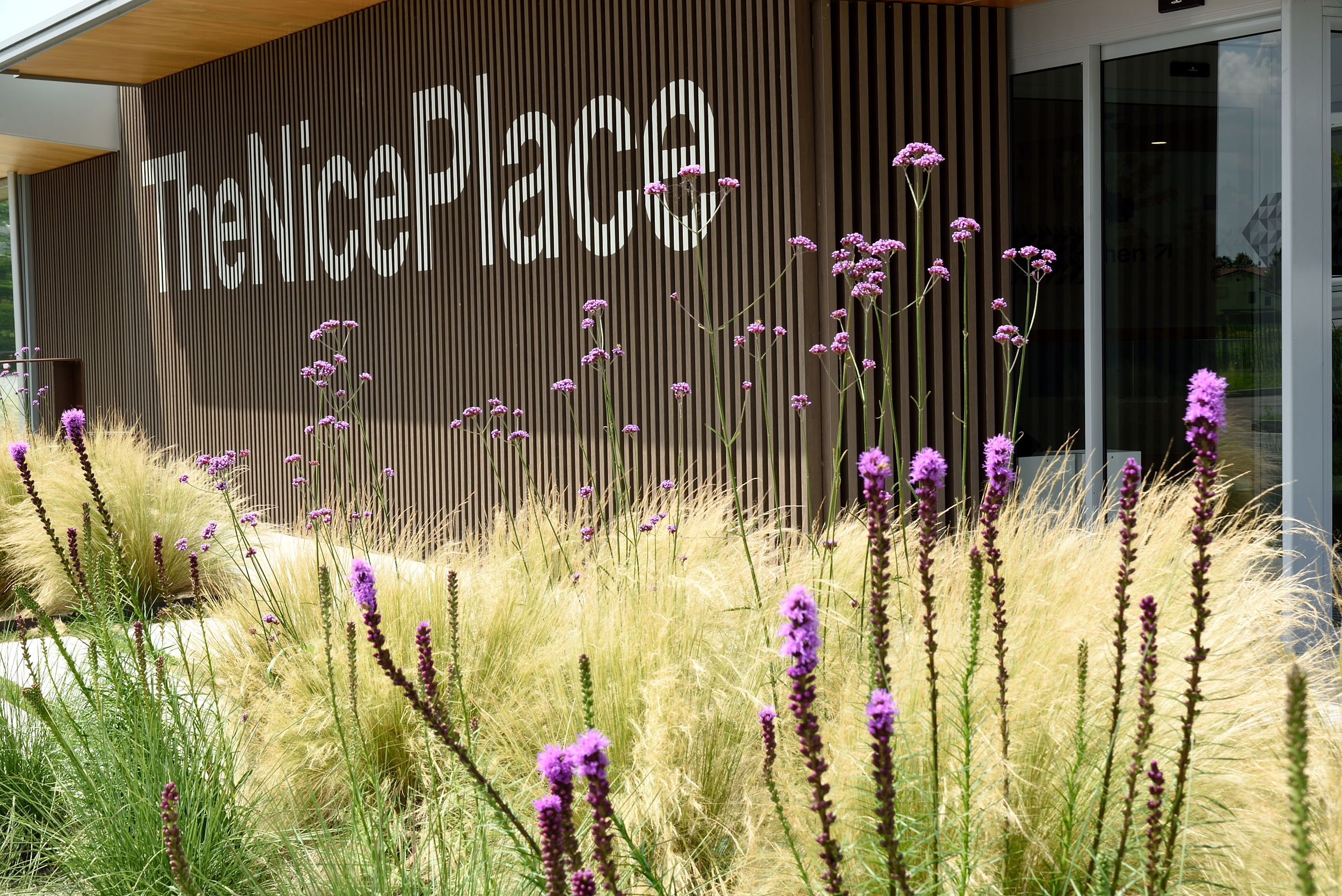 Композитные деревянные Frangisole Woodn Greenwood Древесина разнообразная ARCH-00022359 - Вид №42