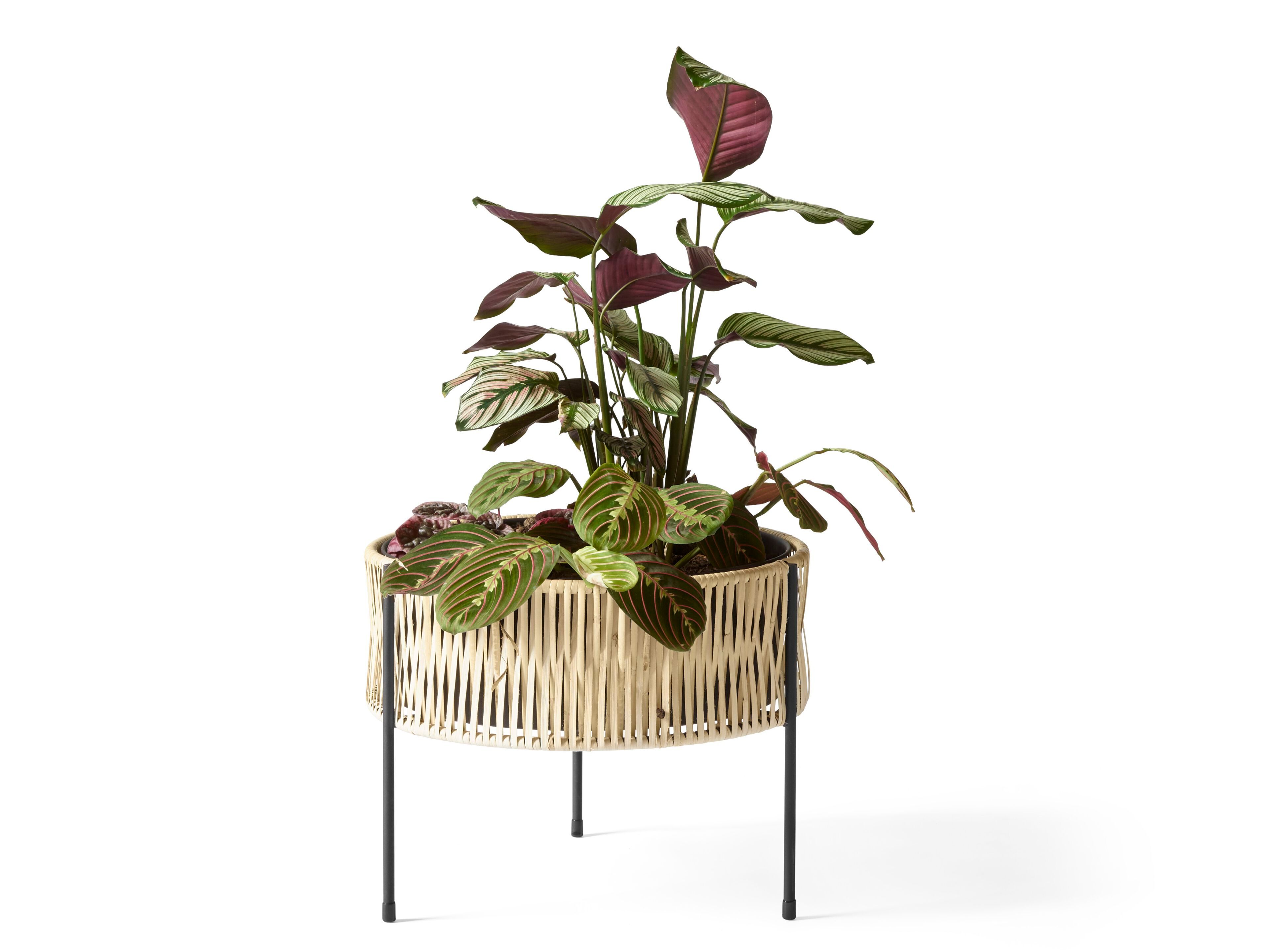 Стальная и ротанговая круглая подставка для горшков Audo Copenhagen Umanoff ARCH-00048975 - Вид №3