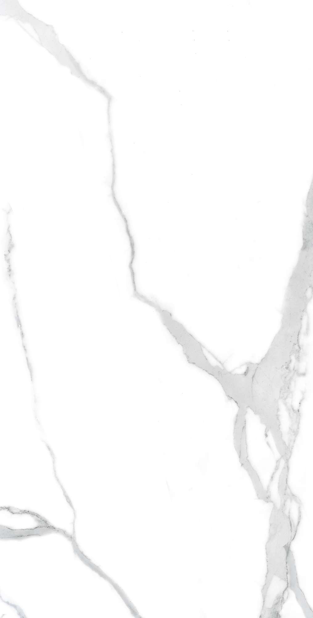 NUVO STATUARIO — Элегантность мрамора в вашем доме FP1021-A Arcadia Ceramica - Вид №3