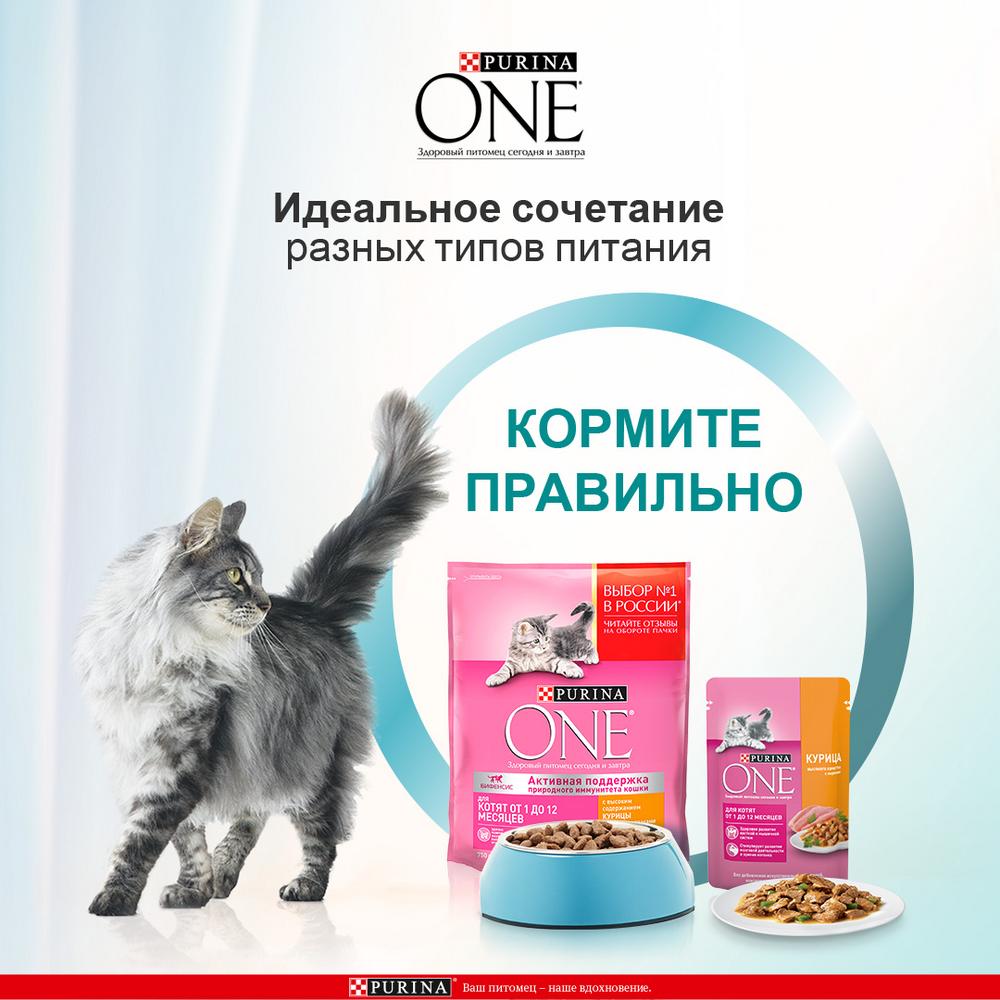 ПР0059659 Корм для котят Курица, цельные злаки сух. 750г ONE  - Вид №2