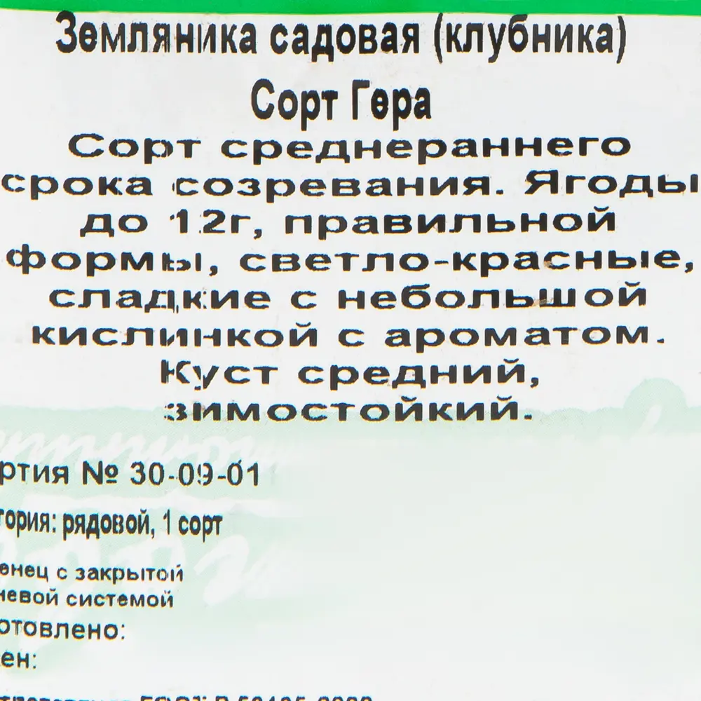 Земляника садовая «Гера Р9» (клубника) 81954886 STLM-2090301 Santreyd  - Вид №2