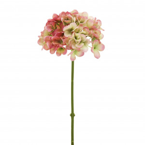 210310-54 ABHIKA СПРЕЙ HYDRANGEA PINKCREAM